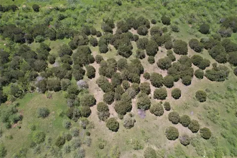 1211 Sparrow Ct, Graford, TX 76449