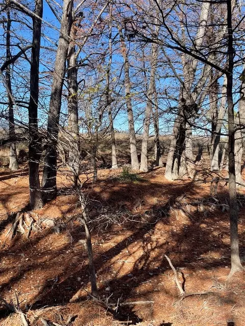 0 Fm 473 Rd, Boerne, TX 78006