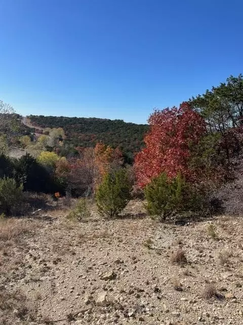 3-982 Majestic Shrs, Bluff Dale, TX 76433
