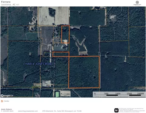 00001 Charlie Jones Rd, Grand Cane, LA 71032