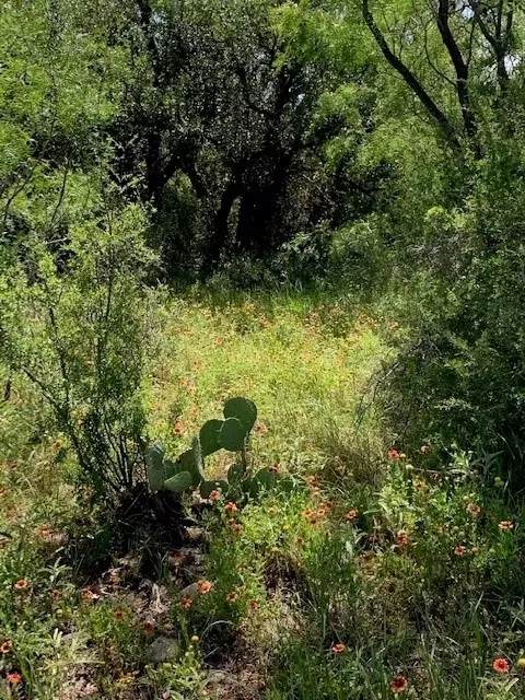 4151 Fm 2134, Eden, TX 76837 photo 3