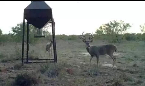 4151 Fm 2134, Eden, TX 76837 photo 4