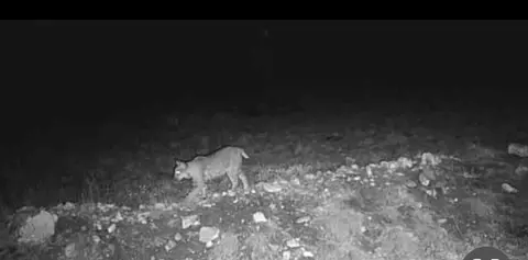 4151 Fm 2134, Eden, TX 76837 photo 9
