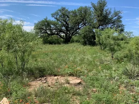 4151 Fm 2134, Eden, TX 76837 photo 14