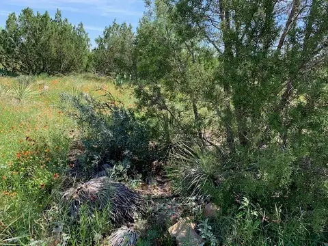 4151 Fm 2134, Eden, TX 76837 photo 6