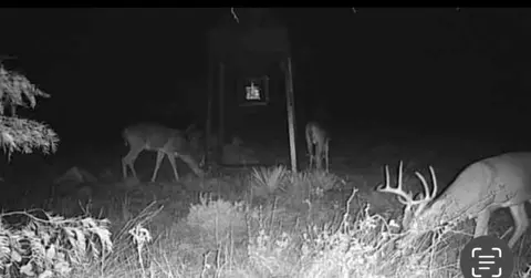4151 Fm 2134, Eden, TX 76837 photo 7