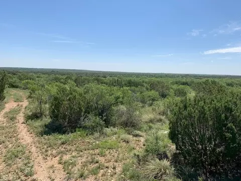 4151 Fm 2134, Eden, TX 76837 photo 13
