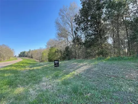 Tbd Farm Road 3019, Winnsboro, TX 75494