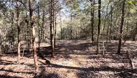 13040 Hidden Acres Rd, Eustace, TX 75124 photo 28