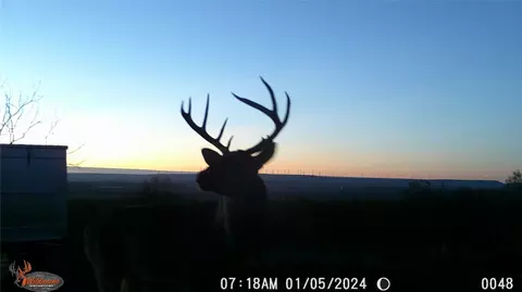0 County Road 121, Trent, TX 79556