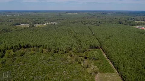 702 Pietsch Rd # -A, Ringgold, LA 71068 photo 3