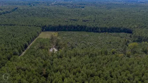 702 Pietsch Rd # -A, Ringgold, LA 71068 photo 4