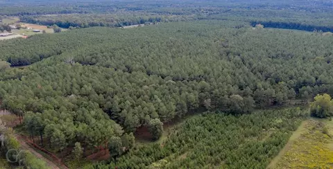 702 Pietsch Rd # -A, Ringgold, LA 71068