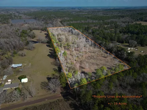 tbd Noonday Rd, Hallsville, TX 75650