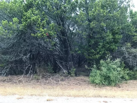 25060 Southhill Dr, Whitney, TX 76692