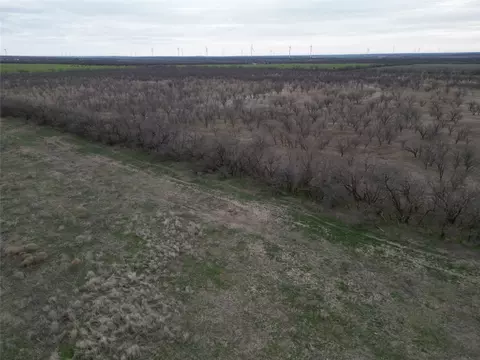 Tract 23 Cr 105, Abilene, TX 79601 photo 6