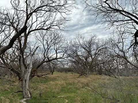 Tract 23 Cr 105, Abilene, TX 79601 photo 11
