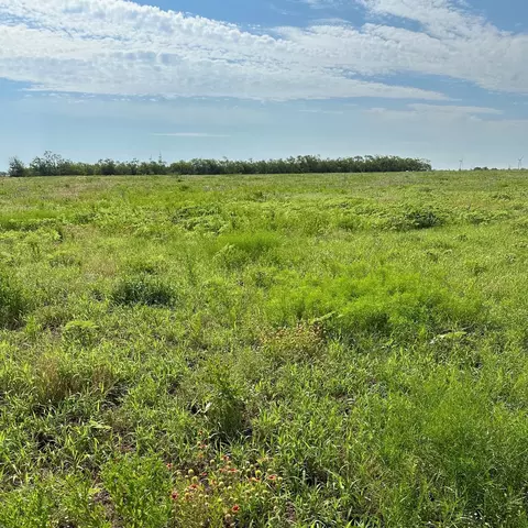 Tract 23 Cr 105, Abilene, TX 79601 photo 2