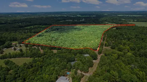 Tbd County Road 4114 41.86 Ac, Hughes Springs, TX 75656