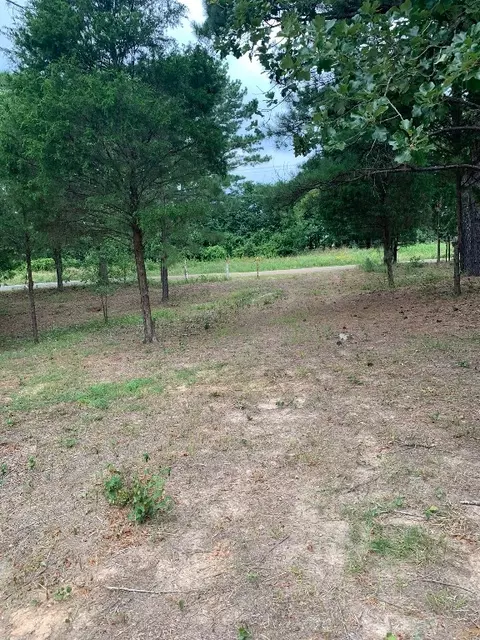 Tbd County Road 3907, Athens, TX 75752