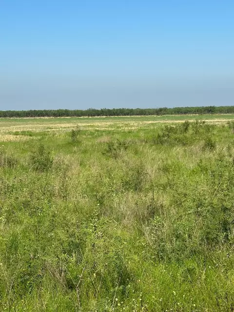 Tract 24 Cr 105, Abilene, TX 79601