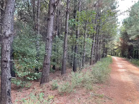 0 Chalybeate Spgs, Plain Dealing, LA 71064