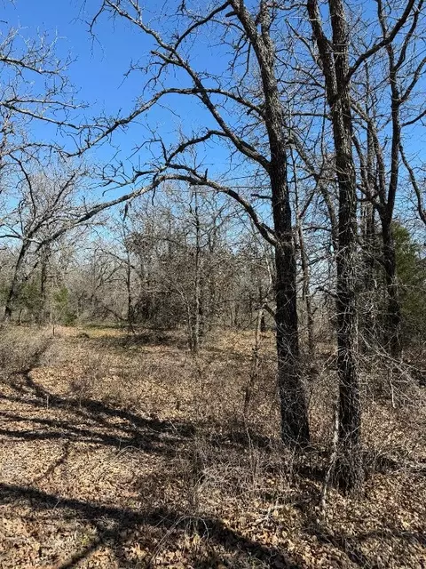 0 Julie Dr, Mineral Wells, TX 76067