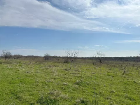 Tract 1c SW County Road 2360, Streetman, TX 75859