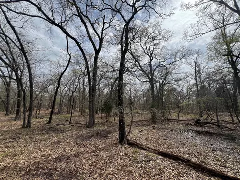 0 Maple Ln, Malakoff, TX 75148