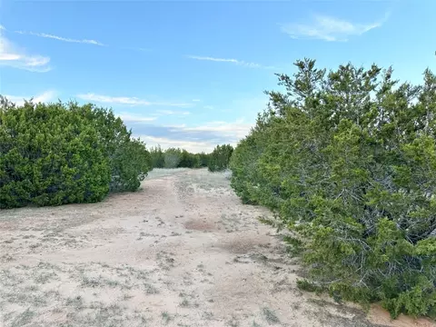 Tbd County Rd 184, Ovalo, TX 79541