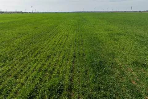 Tbd Fm 2581, Windthorst, TX 76389 photo 20