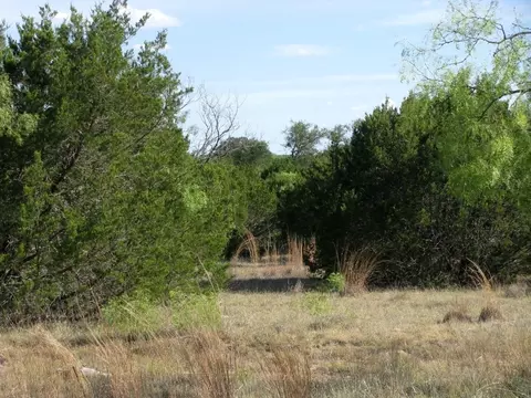 lot20 Ph 4 Pr 42126, Evant, TX 76525