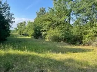 Tbd 01 Hwy 75, Buffalo, TX 75831