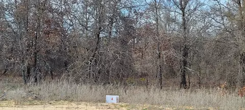 Lot 4 Live Oak Trail, Clyde, TX 79510