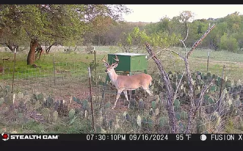 tbd County Road 277, Baird, TX 79504