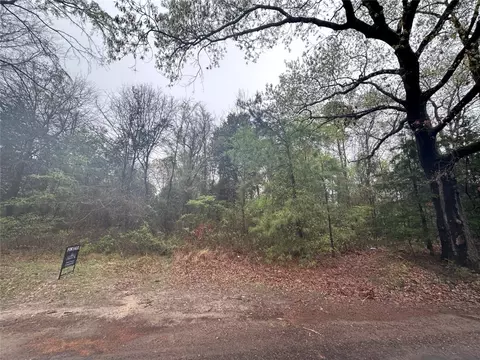 Tbd County Rd 1240, Pittsburg, TX 75686