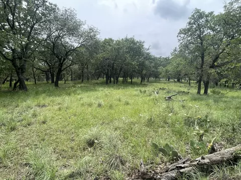 267 Ridgeline Dr, Chico, TX 76426