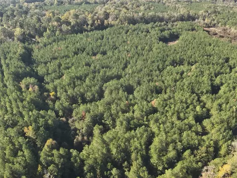 0 Section Line Rd, Leesville, LA 71446 photo 3
