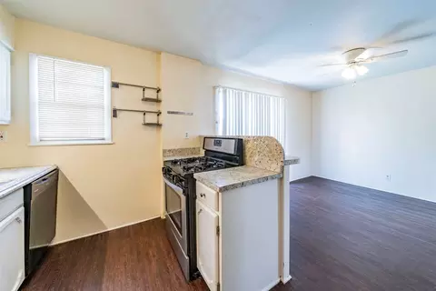 1017 E Oak St, Denton, TX 76205 photo 7