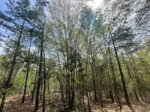 Tbd County Road 4320, Larue, TX 75770