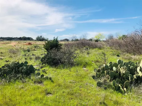 lot220 Oak Tree Dr, Possum Kingdom Lake, TX 76449