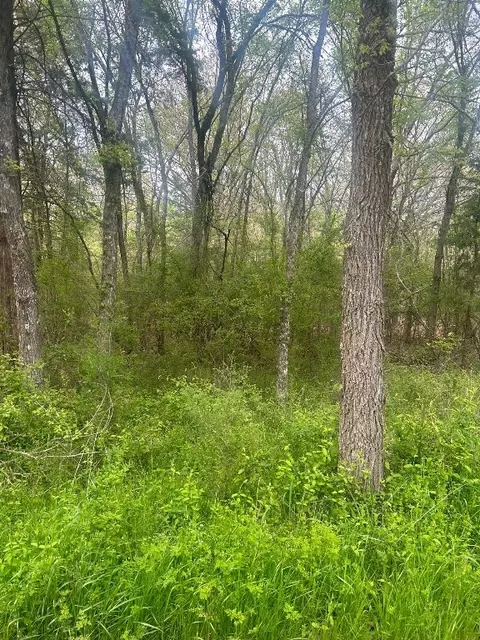 tbd Cr 2325, Mount Pleasant, TX 75455