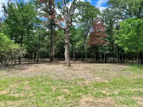 0 S Hickory Loop, Calvert, TX 77837 photo 3