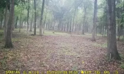 0 S Hickory Loop, Calvert, TX 77837 photo 5