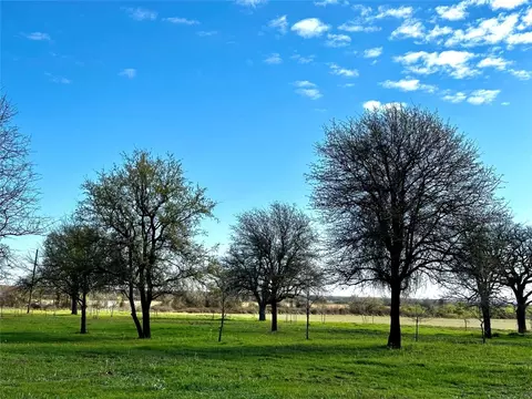 Tbd County Road 377, Rising Star, TX 76471