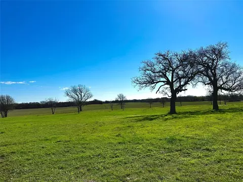 Tbd County Road 377, Rising Star, TX 76471