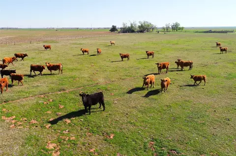 Tbd Fm 392, Chillicothe, TX 79225