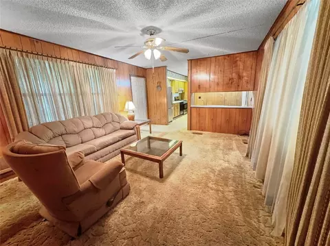 4310 Apache Dr, May, TX 76857 photo 3