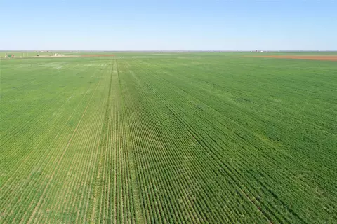 tbd County Rd 81 S, Vernon, TX 76384
