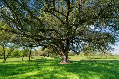 Exterior - 934 County Road 322, Comanche, TX 76442 photo 11 of 14
